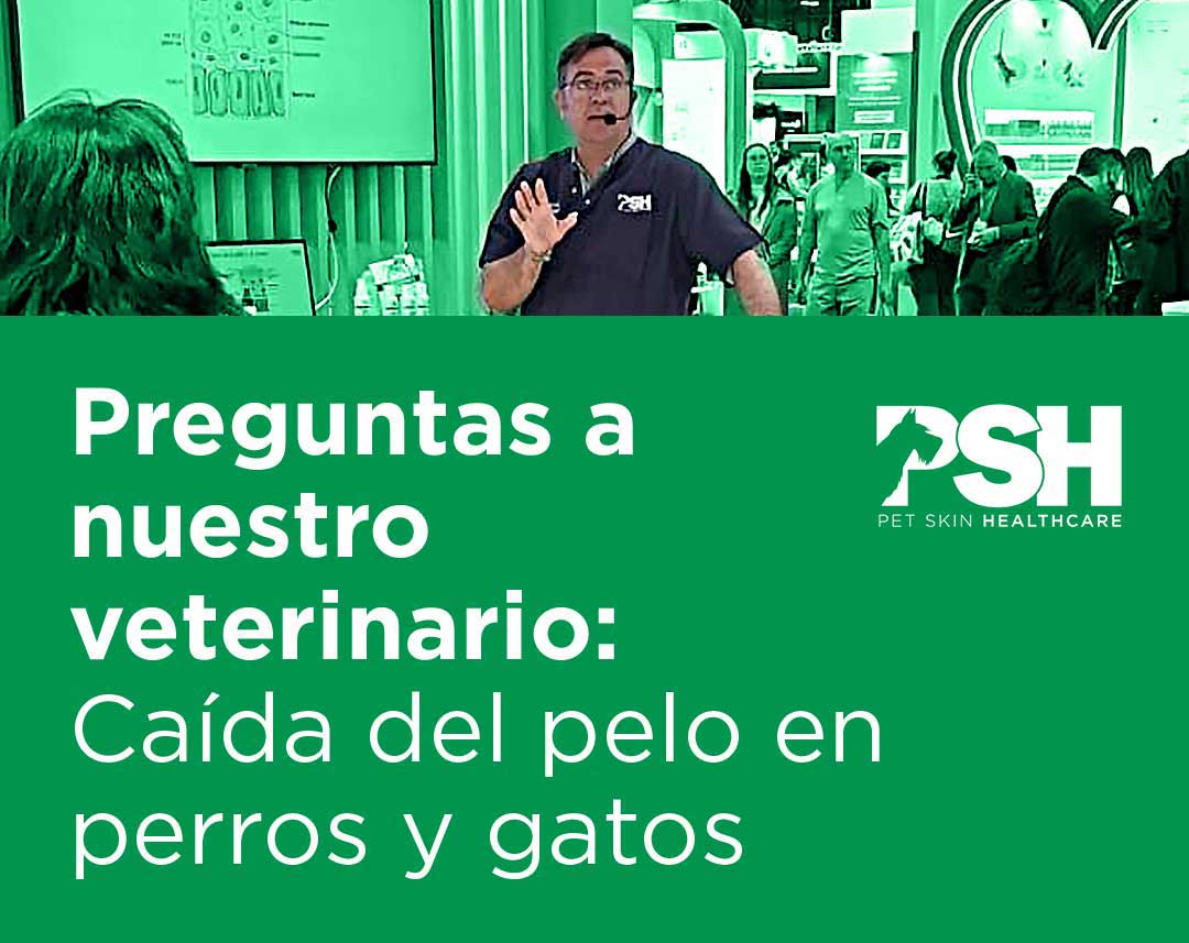 Preguntas a nuestro veterinario – Caída del pelo en perros y gatos 