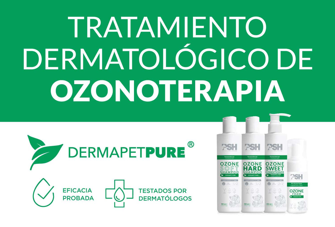 Tratamiento dermatológico de Ozonoterapia PSH