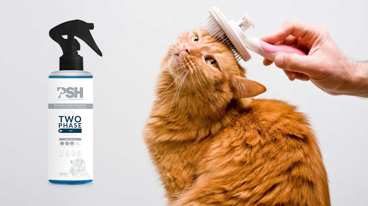Desenredante para mascotas y su vital importancia