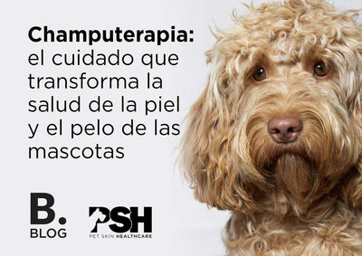 Shampoo Therapy: The care that transforms the skin and coat health of pets