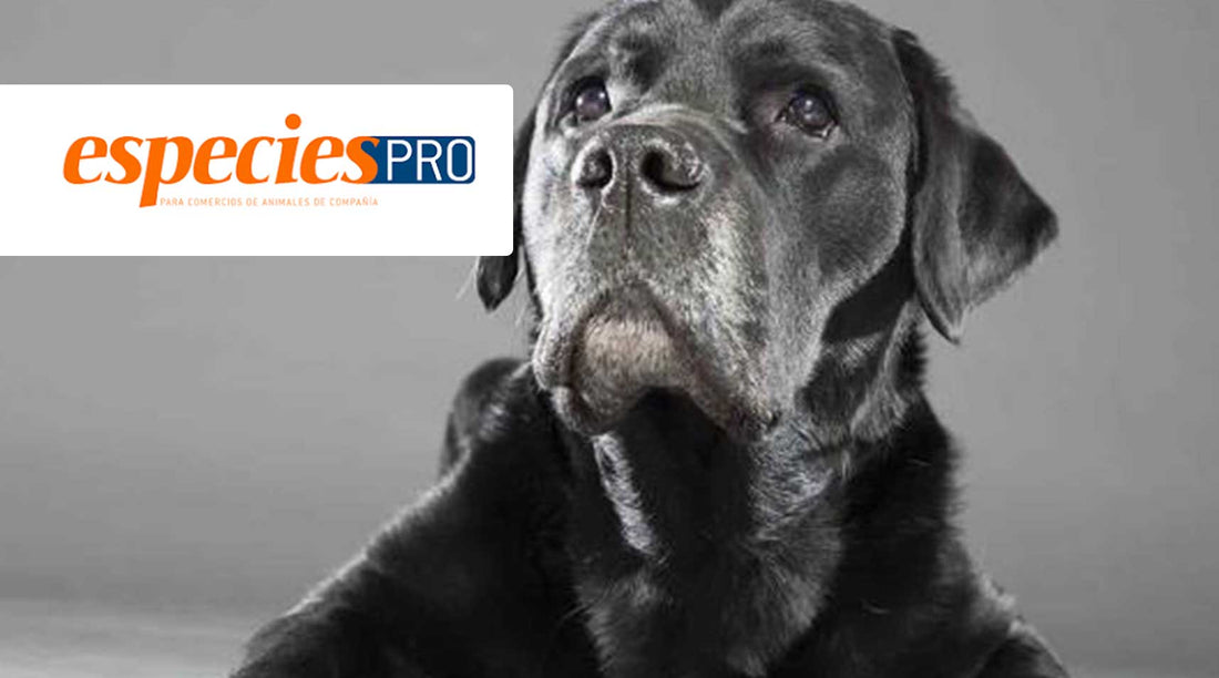 Los cuidados de las pieles envejecidas