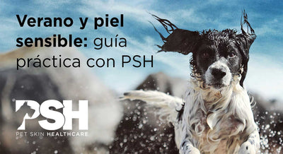 Summer and Sensitive Skin: A Practical Guide with PSH