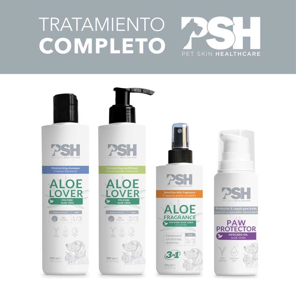 Champú Aloe Lover