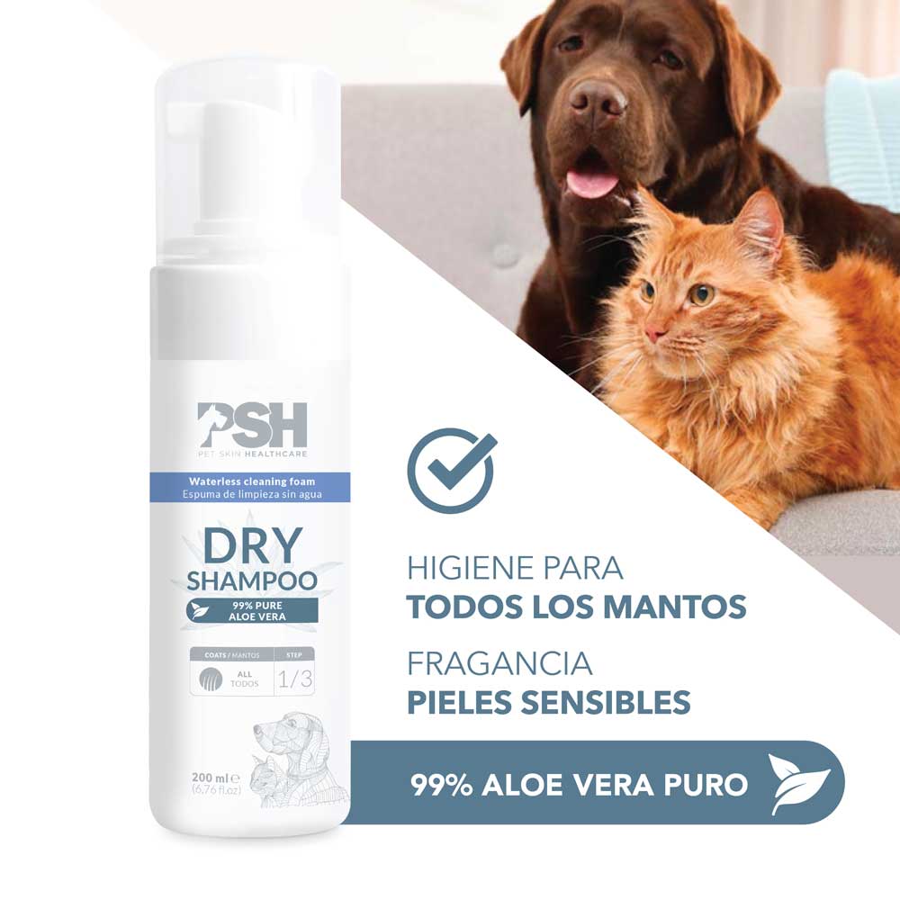 Champú seco en espuma - Dry Shampoo