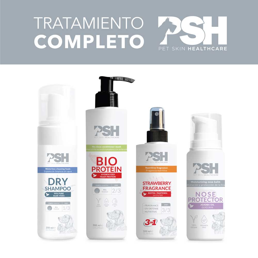 Champú seco en espuma - Dry Shampoo