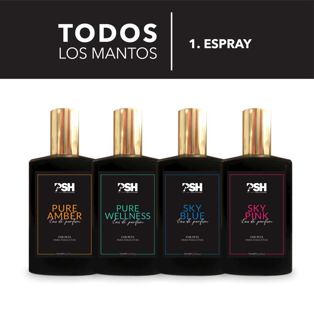 Eau de Parfum - Pure Wellness