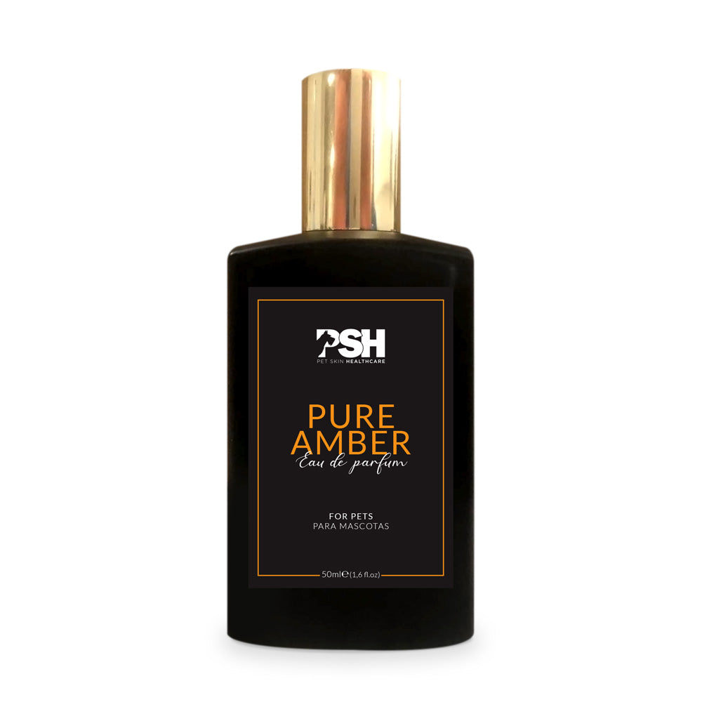 Eau de Parfum - Pure Amber