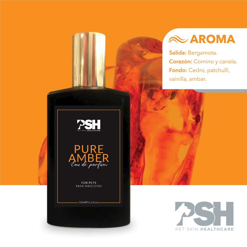 Eau de Parfum - Pure Amber