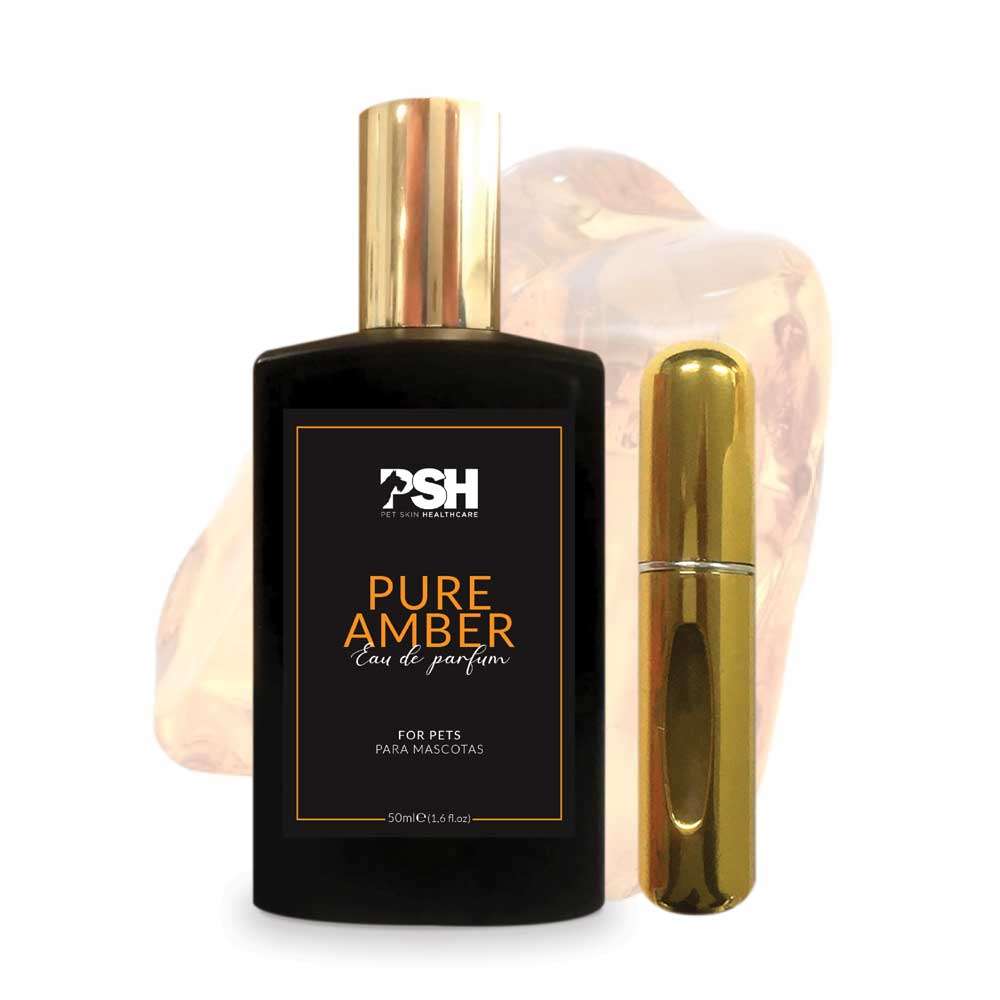 Eau de Parfum - Pure Amber