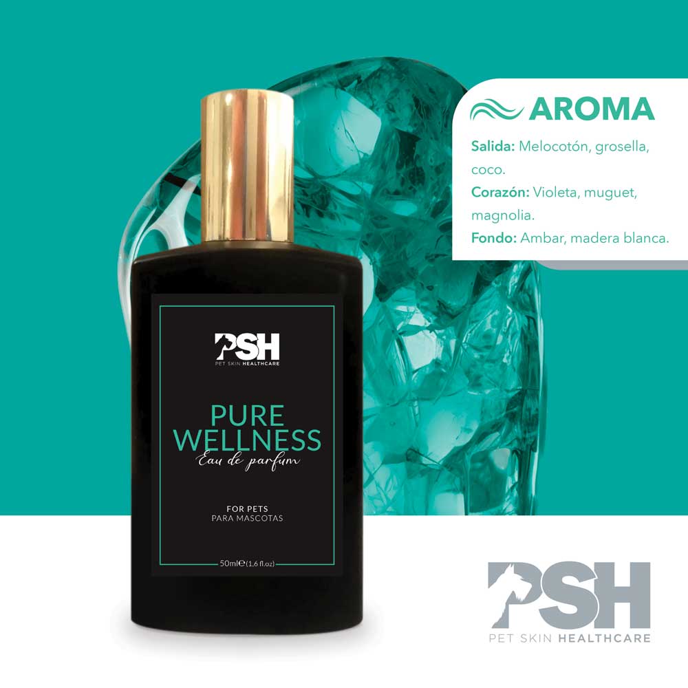 Eau de Parfum - Pure Wellness