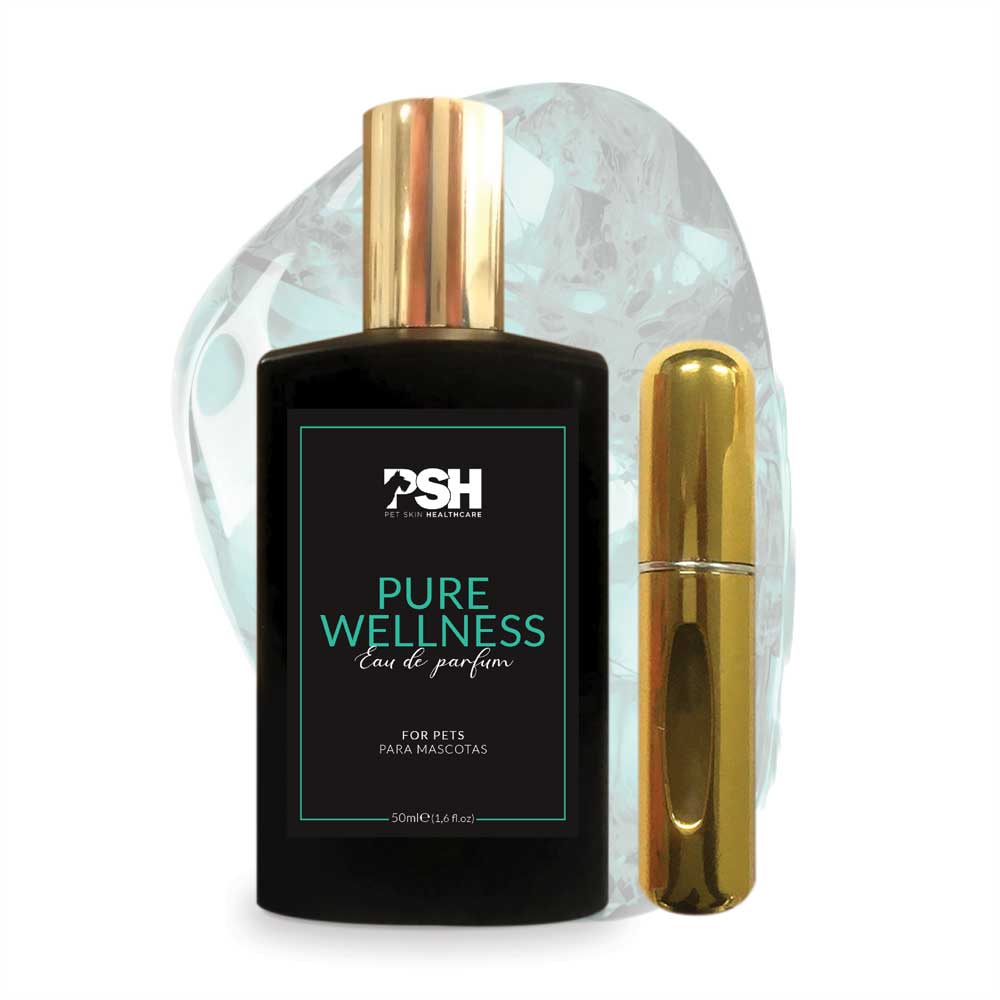 Eau de Parfum - Pure Wellness