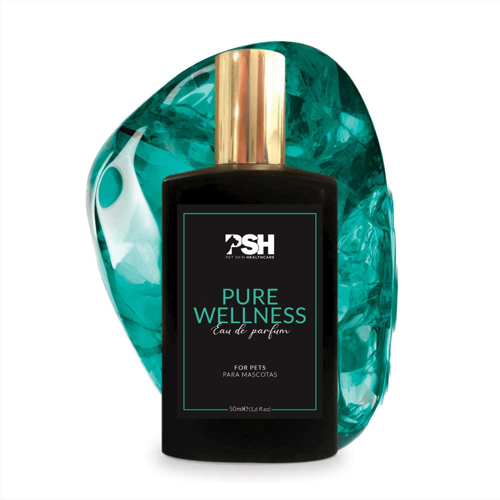 Eau de Parfum - Pure Wellness