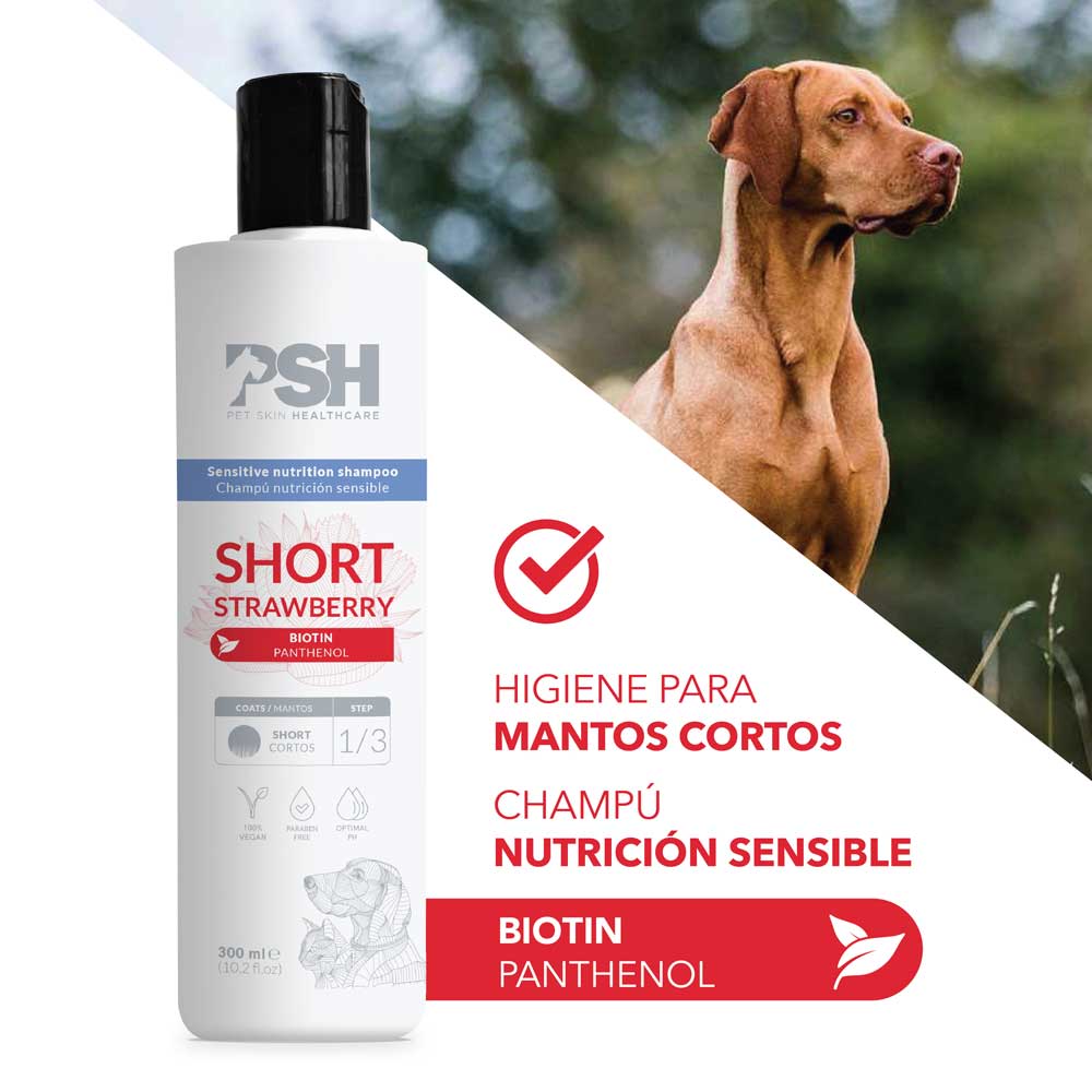 Champú Short Strawberry - Manto Corto