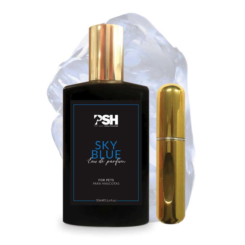 Eau de Parfum - Sky Blue