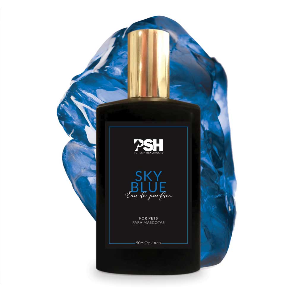 Eau de Parfum - Sky Blue