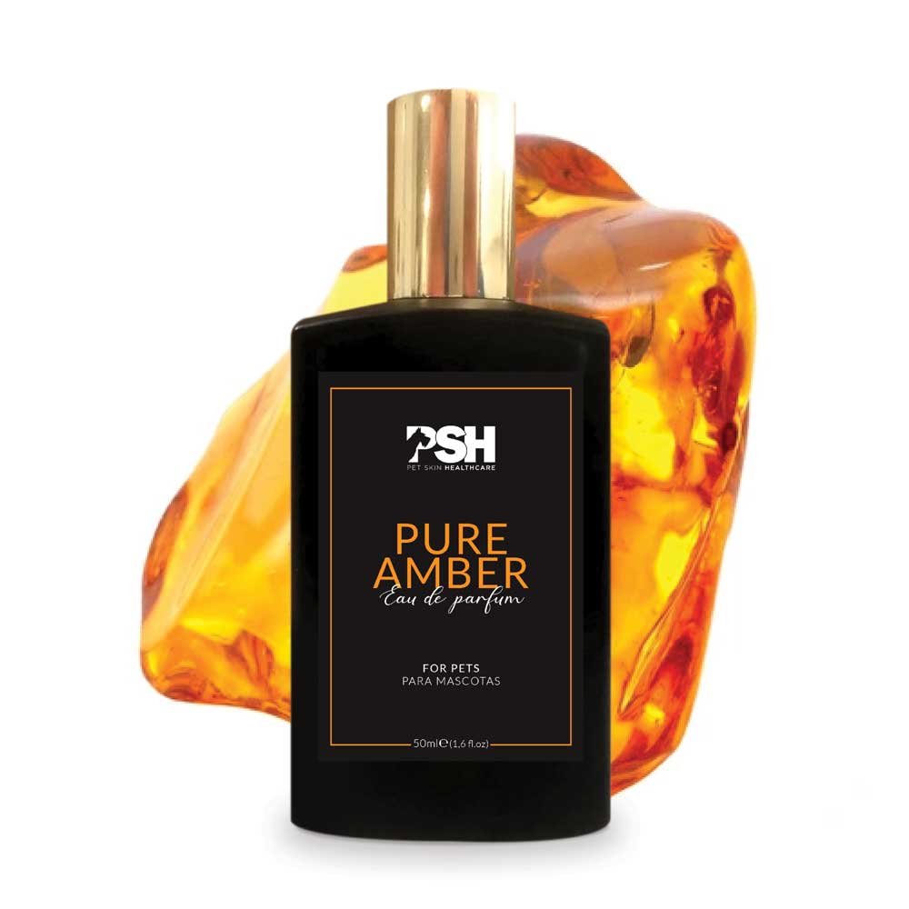 Eau de Parfum - Pure Amber