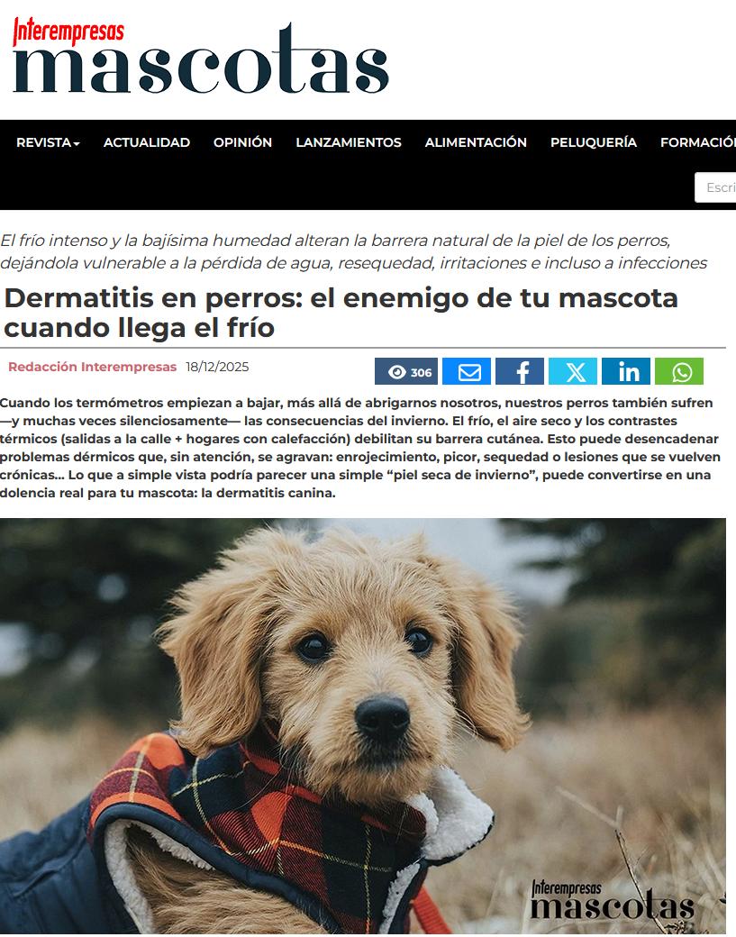 Cuando los termómetros empiezan a bajar, más allá de abrigarnos nosotros, nuestros perros también sufren —y muchas veces silenciosamente— las consecuencias del invierno. El frío, el aire seco y los contrastes térmicos (salidas a la calle + hogares con calefacción) debilitan su barrera cutánea. Esto puede desencadenar problemas dérmicos que, sin atención, se agravan: enrojecimiento, picor, sequedad o lesiones que se vuelven crónicas... Lo que a simple vista podría parecer una simple “piel seca de invierno”, puede convertirse en una dolencia real para tu mascota: la dermatitis canina.