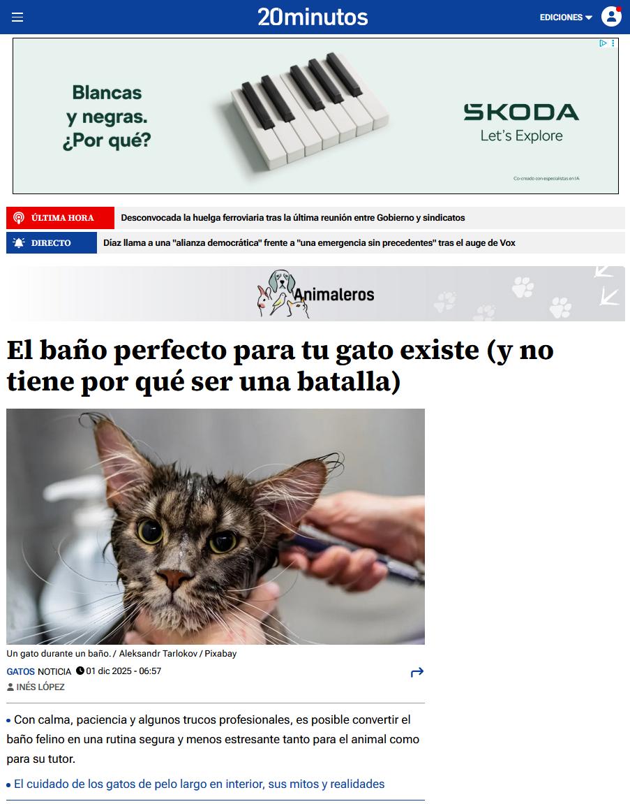 Bañar a un gato está en la lista de temores habituales de muchos tutores. Los felinos, por naturaleza, suelen ser sensibles al agua y pueden estresarse con facilidad, pero eso no significa que el baño sea misión imposible. Con el ambiente adecuado, movimientos suaves y mucho respeto por su ritmo, este momento puede convertirse en una rutina más llevadera para ambos."La clave está en la preparación", explica Sonia Cozar, peluquera y estilista canina y felina de PSH Cosmetics. "Si nos adelantamos a lo que puede incomodarles, el baño será más rápido y menos estresante".El primer paso es elegir el momento apropiado. Según la experta, es mejor hacerlo cuando el gato esté relajado, nunca tras un rato de juegos o cuando muestre signos de inquietud. Además, el entorno también marca la diferencia: una bañera o recipiente con acceso a agua templada y un espacio silencioso ayudarán a reducir la tensión desde el inicio.