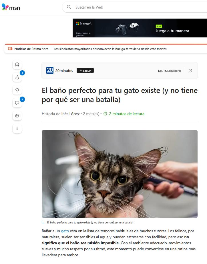 "La clave está en la preparación", explica Sonia Cozar, peluquera y estilista canina y felina de PSH Cosmetics. "Si nos adelantamos a lo que puede incomodarles, el baño será más rápido y menos estresante".El primer paso es elegir el momento apropiado. Según la experta, es mejor hacerlo cuando el gato esté relajado, nunca tras un rato de juegos o cuando muestre signos de inquietud. Además, el entorno también marca la diferencia: una bañera o recipiente con acceso a agua templada y un espacio silencioso ayudarán a reducir la tensión desde el inicio.