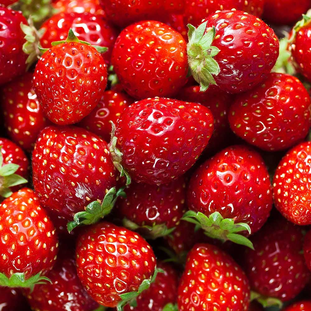 Fragancia 3 en 1 - Strawberry Nutritivo
