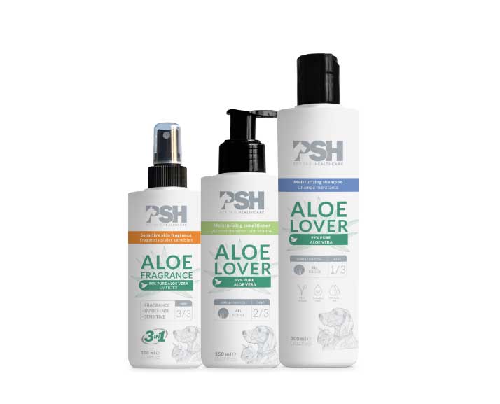 Productos_Aloe